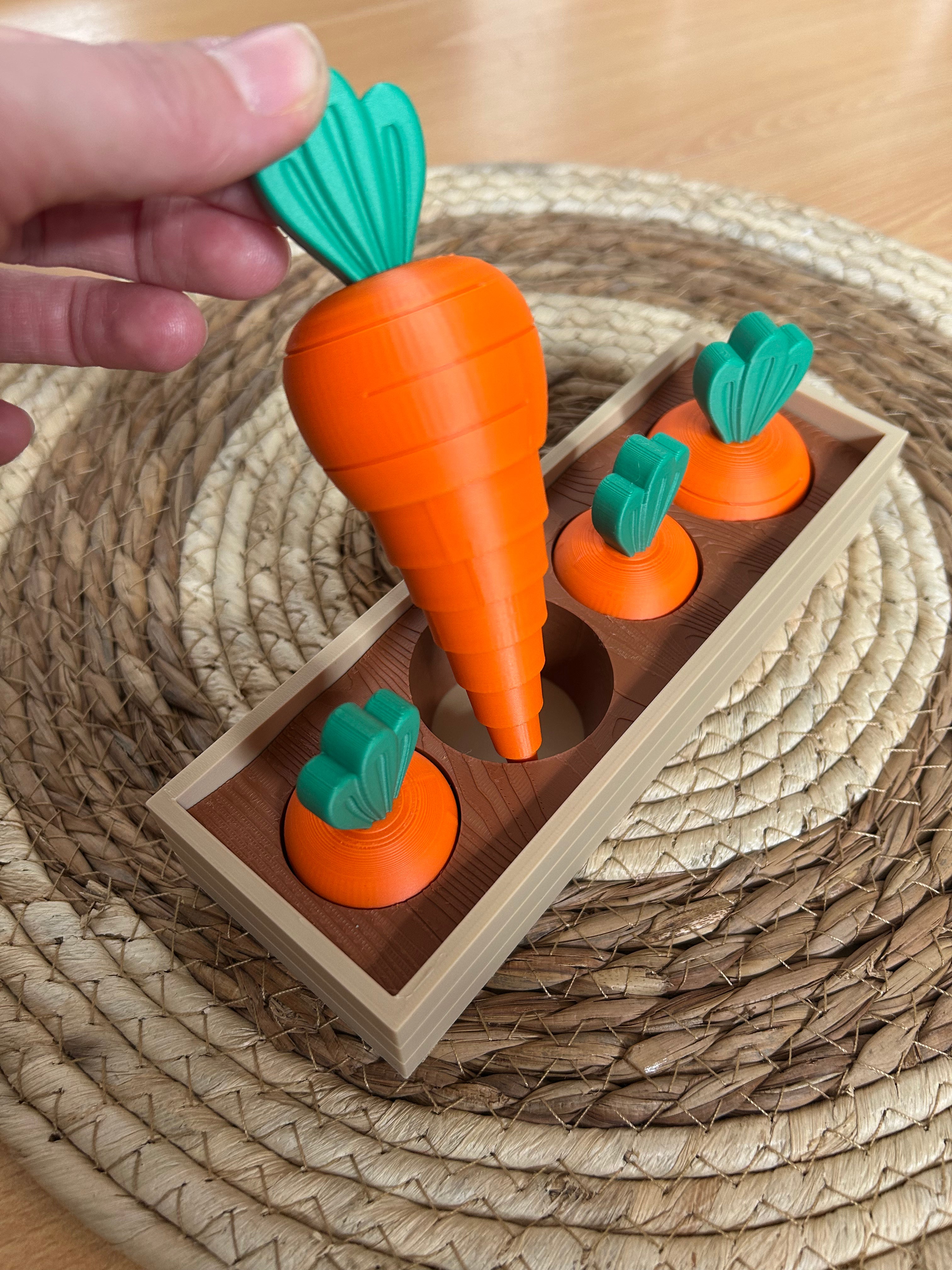 Huerta de Zanahorias Encastrables