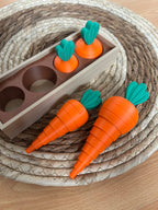 Huerta de Zanahorias Encastrables