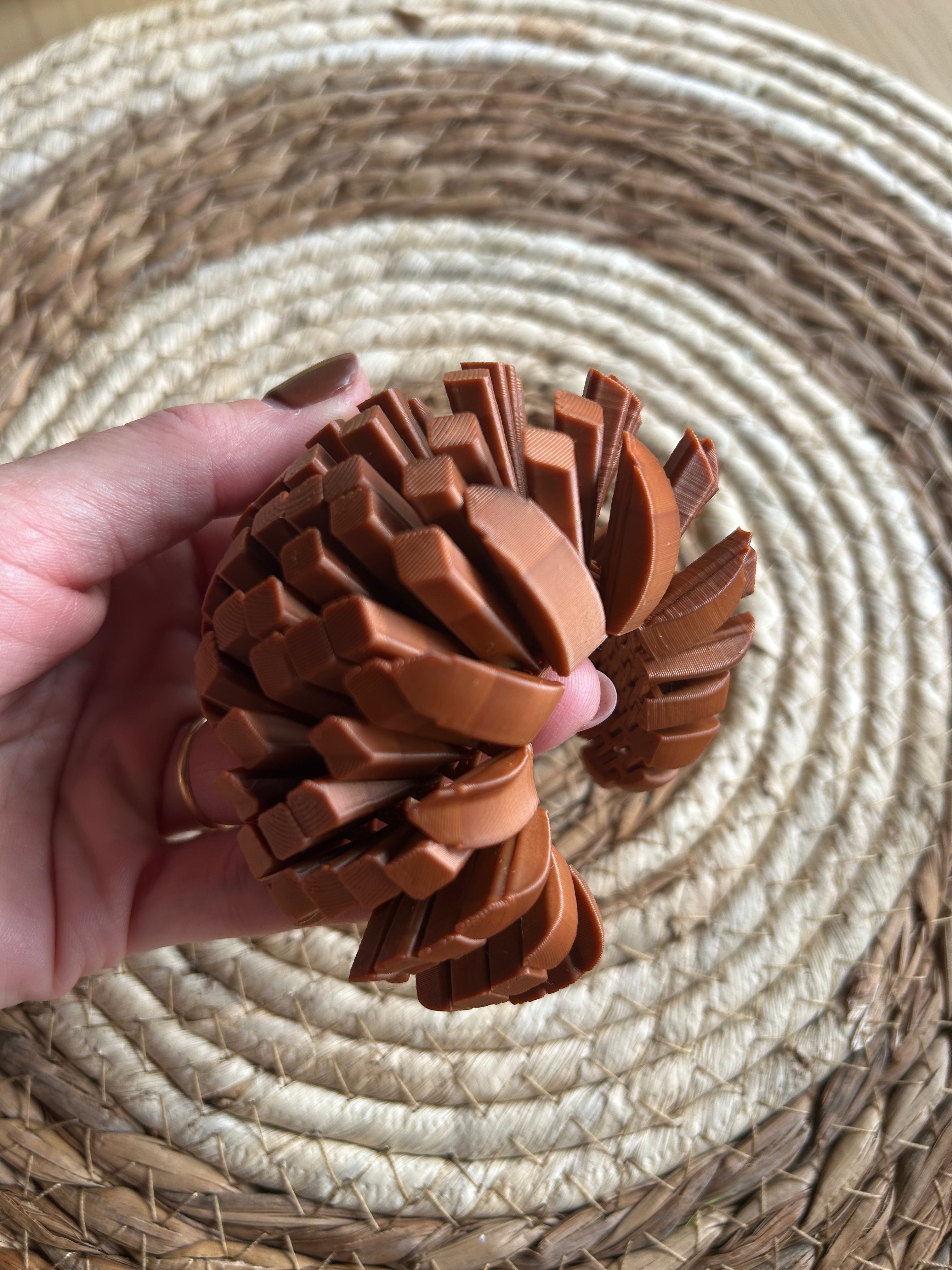 Medialuna Flexible Sensorial
